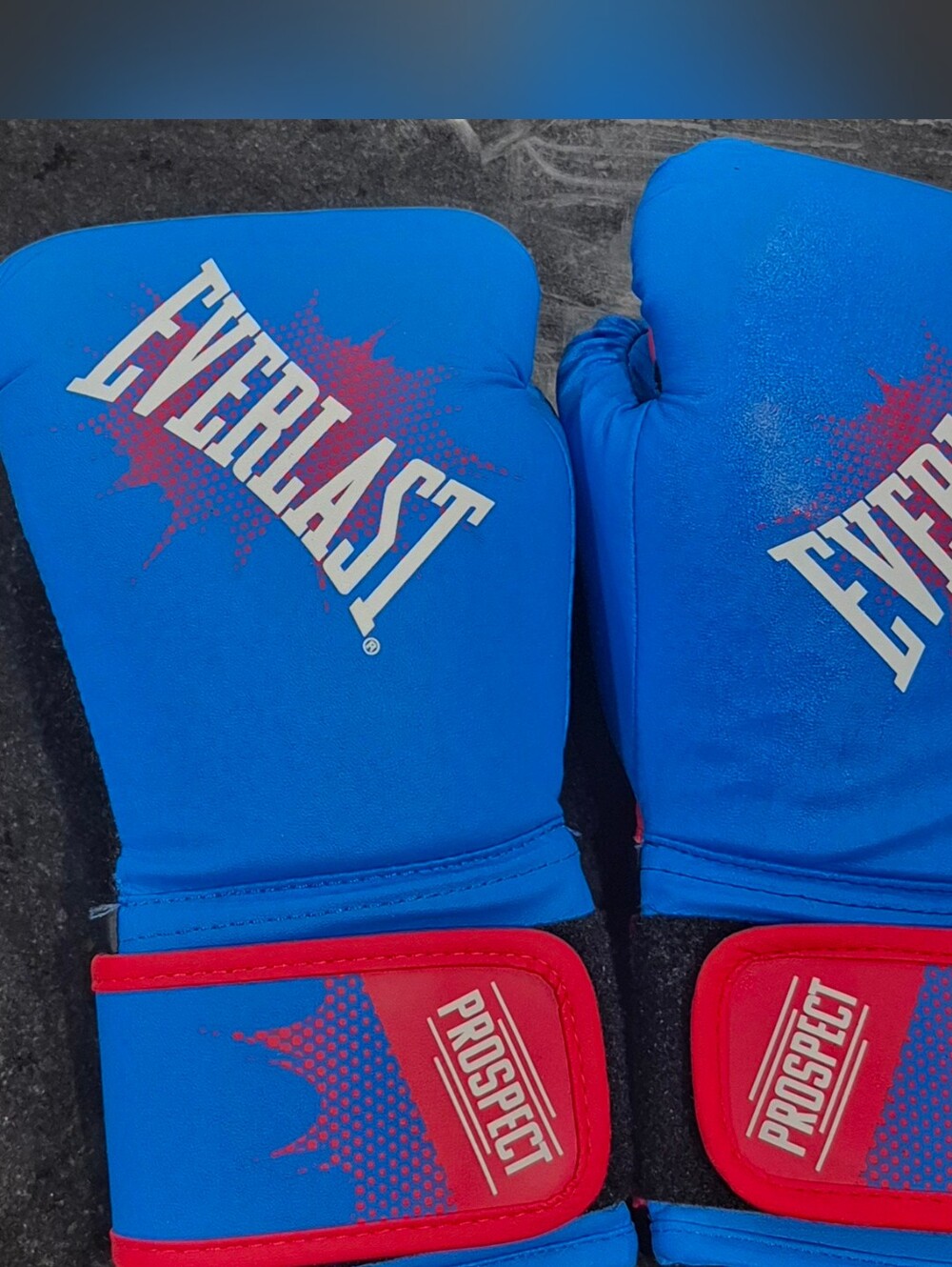 Everlast Blue and Red Prospect Boxing Gloves